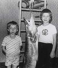 ���� ������