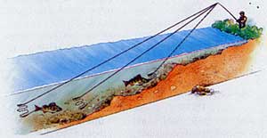 ����� � �������� ����� ��������� ��������� ������ �������� �����