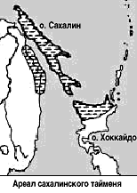 ����� ������������ �������