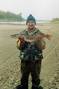 ���� ������