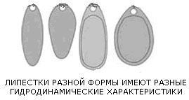 ������ �������� �������� �������� �������� ������������ ����-���������