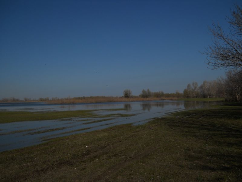 � ���� �� ���������..