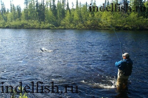 ������������ ��� ���� �� �������� �����������.������� �����.