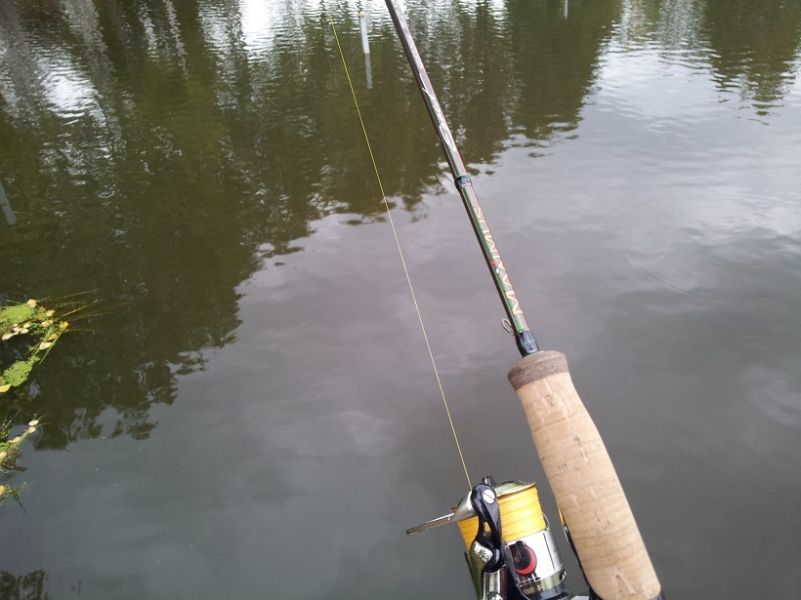 20130929_153138.jpg