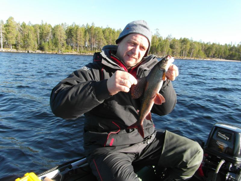 ����� 2013