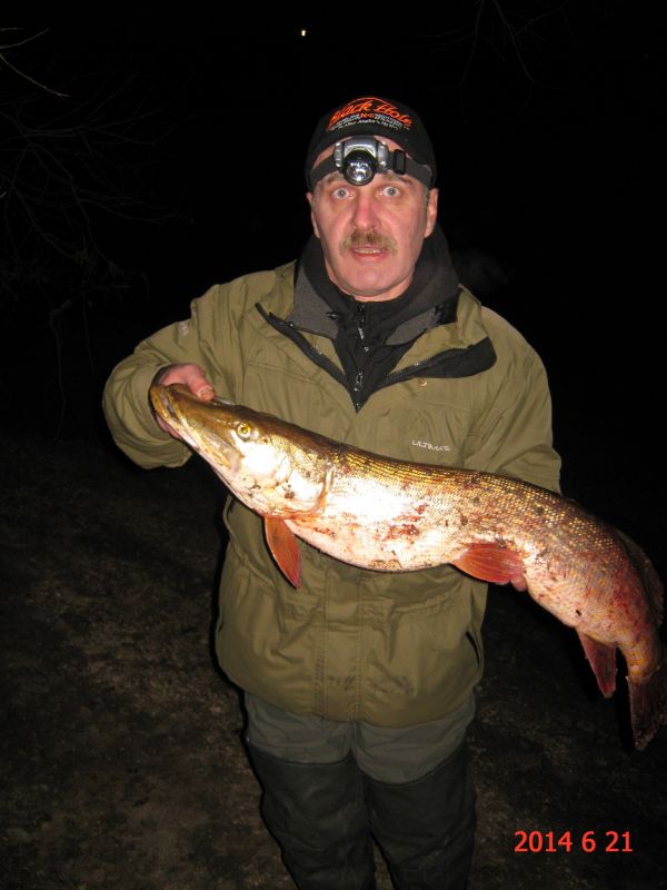 ������� ����