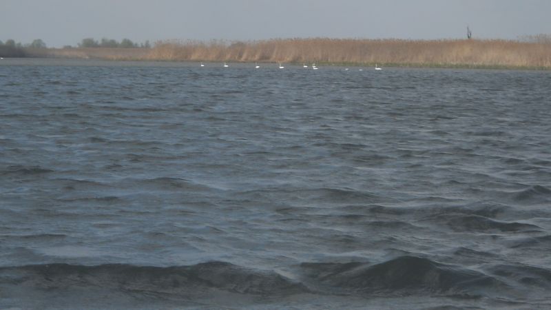 � � ������� �� �������� ����� �� � �������