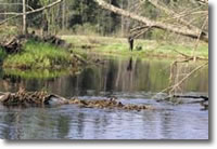 ���� �������� ������� ������� ����� ���� ������ �������� ������� �����������