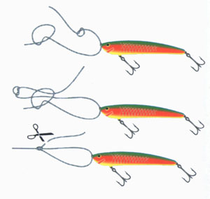 ���� ����������