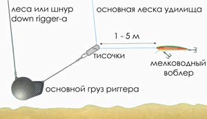 Downrigger,����������