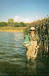 ���������� ����� �����������