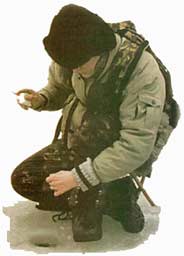 ������ �������