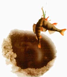 ����� �����