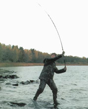 ����� �� �����