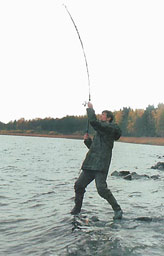 ����� �� �����