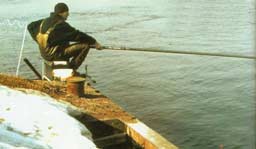 ��� ������ ��������