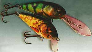 ��������� �������