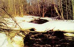 ����� ������