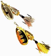 ��������� ������