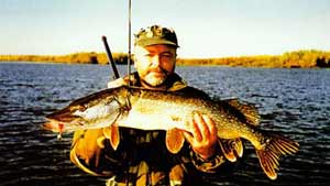 ����������� �����, ����