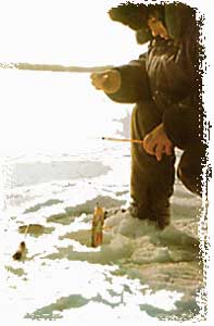 ������ ������� � ���������