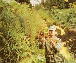 ����� ������