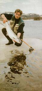 ��������� �������