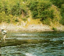 �������,fly fishing