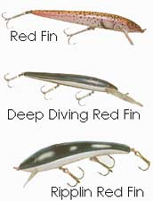  ������� Cotton Cordell