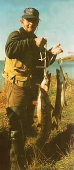 ����� ����