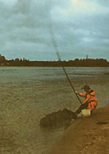 ������ ���������