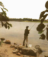 ������ ���������