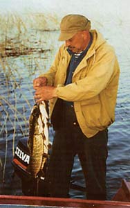 ����� ����