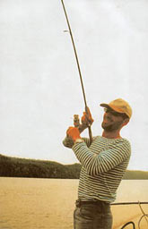 ����� ������