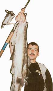 ����� ������