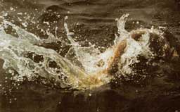 ����� ������