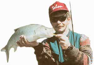 ����� ������