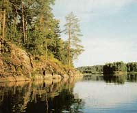 �����,�������������