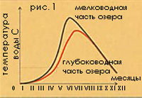 �����,�������������