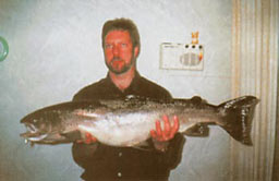 ����� ������