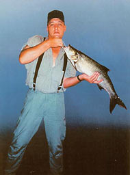 ��� ������