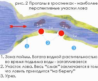 ����� ������