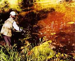 ����� �����