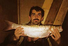 ������� �