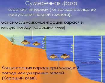 ����� ������