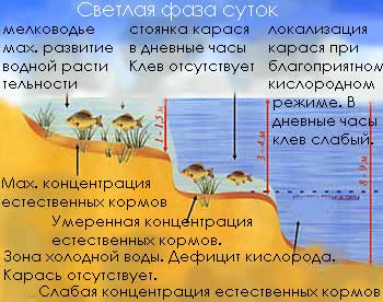 ����� ������