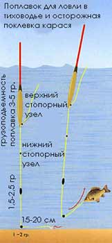 ����� ������