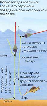 ����� ������