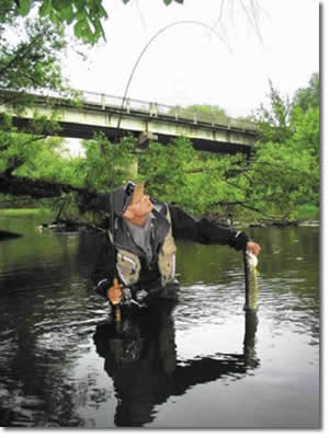 ������������ �������