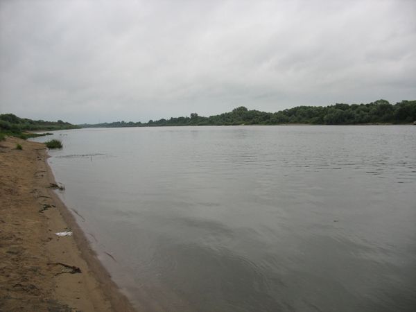 ��� �����